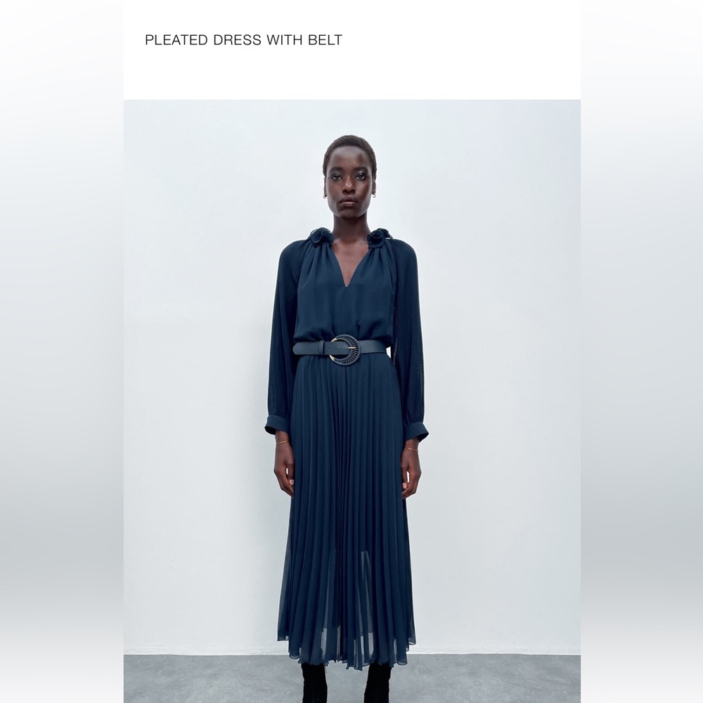 *Beautiful* Zara Dress